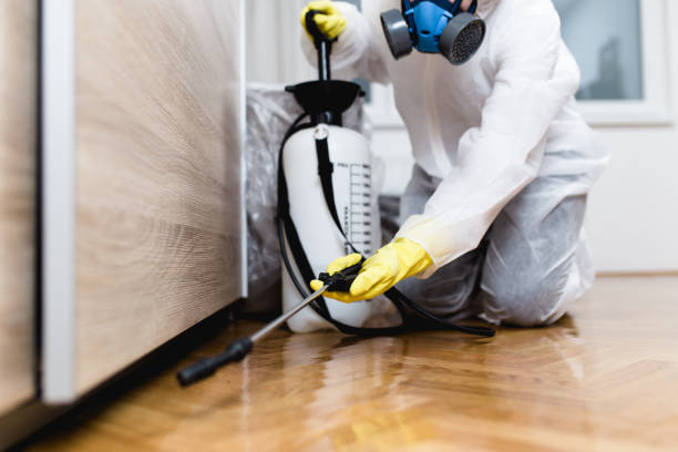Best Pest Removal Services  in Marine, IL
