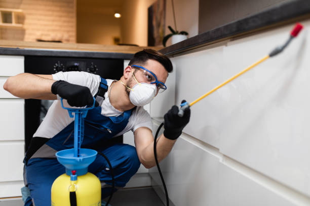 Best Flea Control Services  in Marine, IL
