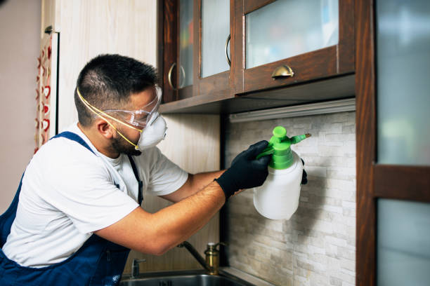 Marine, IL Pest Control Company