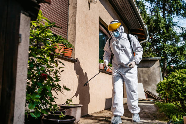Best Ant Control Services  in Marine, IL