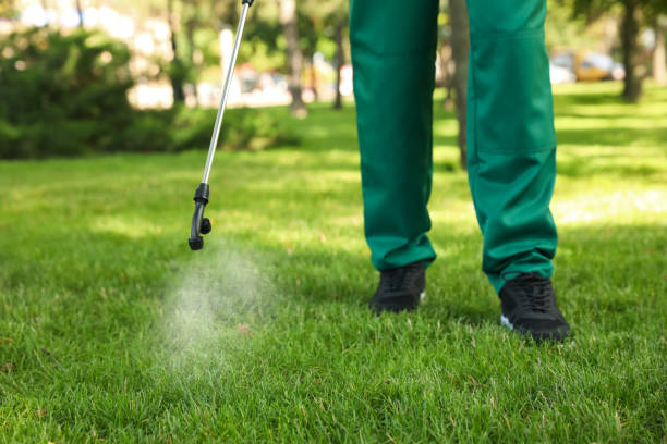 Trusted Marine, IL Pest Control Experts