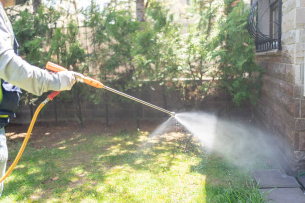 Best Local Pest Control Services  in Marine, IL