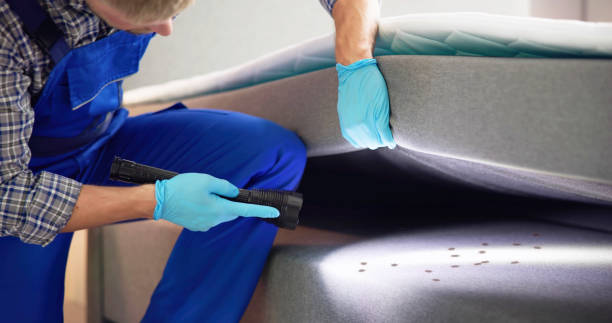 Best Affordable Pest Control Services  in Marine, IL