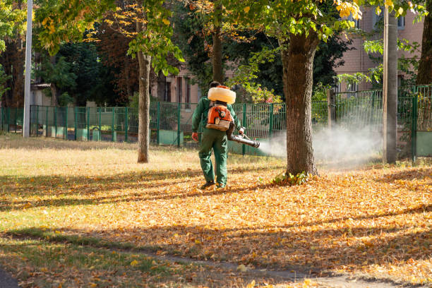 Best Local Pest Control Services  in Marine, IL
