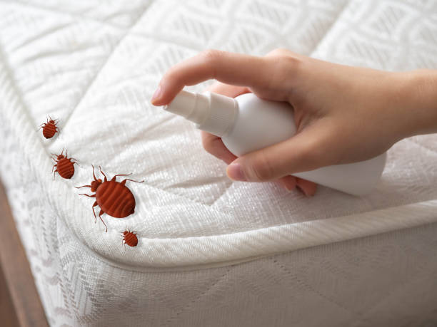 Best Wildlife Control Services  in Marine, IL