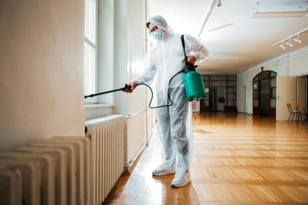 Best Pest Control Near Me in Marine, IL